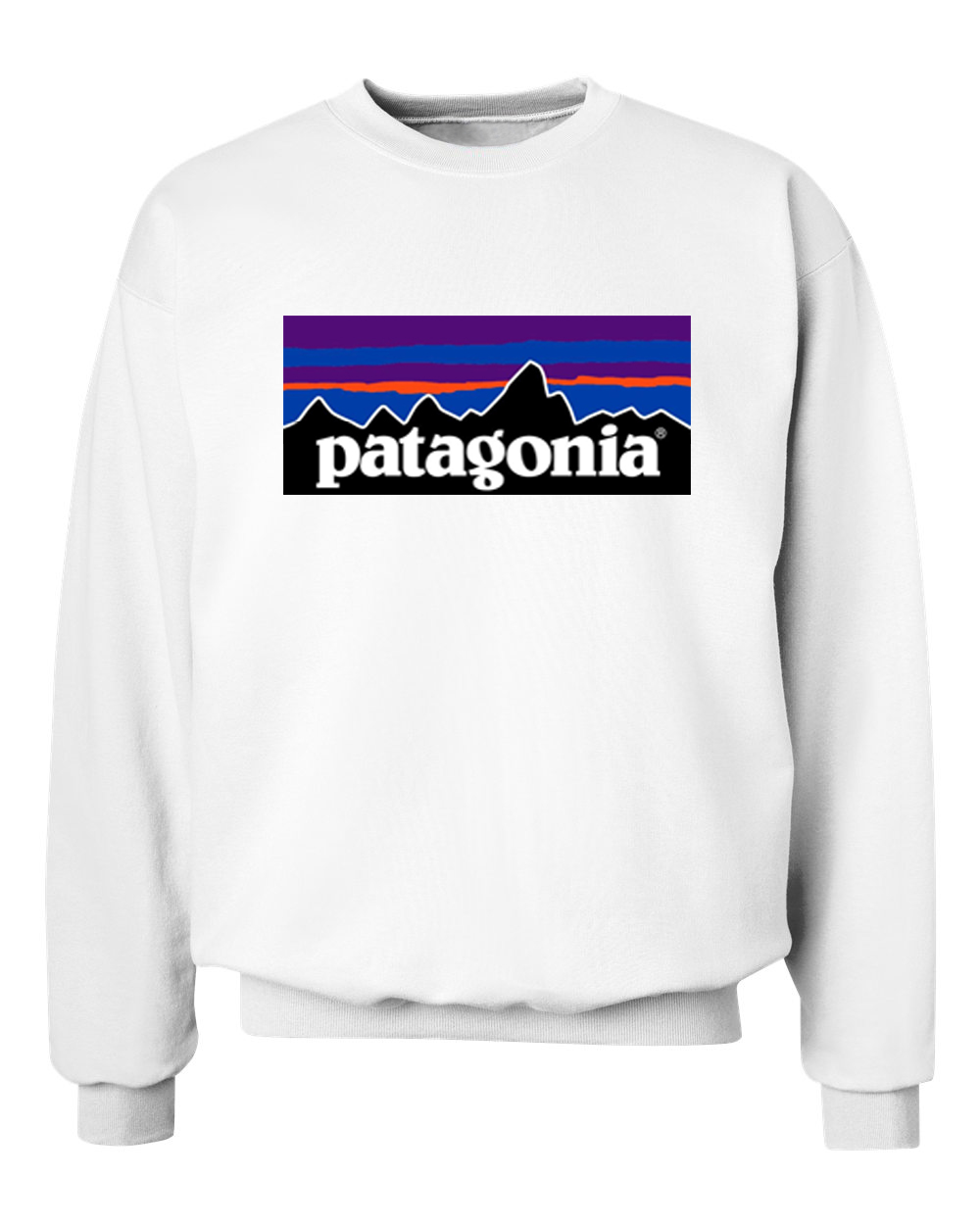 patagonia sweatshirt